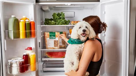 Can You Freeze Fresh Pet Dog Food?