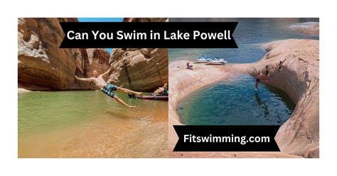 Can You Swim in Lake Powell? And Why Do Fish Wear Sunglasses?