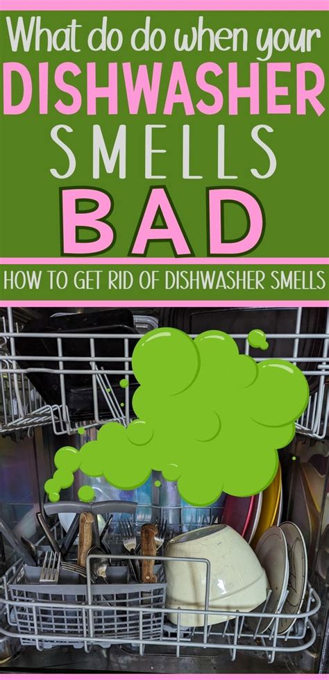 Dishwasher Stinks When Running: A Symphony of Scents and Sensibilities