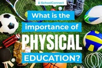 Is Physical Education Important? Exploring the Role of Movement in a World of Screens