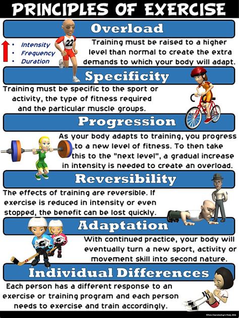 What is Principle of Progression in Physical Education and How Does It Influence the Evolution of Sports Psychology?