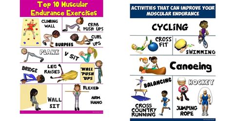 What is Muscular Endurance in Physical Education: A Dive into the Ocean of Infinite Possibilities